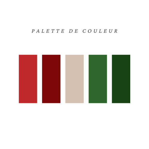 palette de couleur mini session de noel, fête, famille,